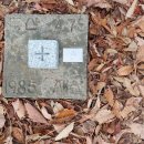 수산리-1 이미지