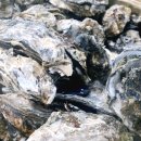 신흥수산 이미지