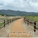 양화 투어코리아