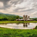 초록풍경 이미지