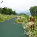 덕풍천 산책로 티스토리