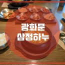 삼정하누