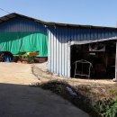 한우축사 이미지