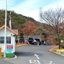 천문대오토캠핑장 이미지