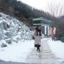 뮤지엄 스테이 이미지