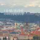 석영마트 | [체코/프라하] 수도원 맥주,립 - 마리아전망대 - 스탠다드카페 - BILLA마트