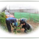 석준농장 이미지