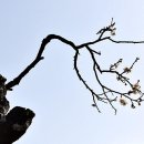 3월 24일 월요일 이미지