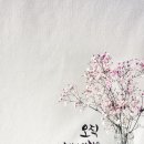 예랑캘리