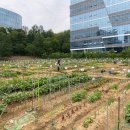 행복을 farm 이미지