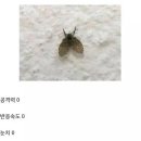[외대 민족통일 고시텔 후기] 고시텔 한 달 살이 후기