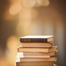 신주초등학교 이미지