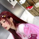 프리지아 이미지