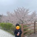 푸른어린이공원 | [광교호수공원] 전망대 프라이부르크 &amp; 푸른숲도서관 힐링 데이트 코스 추천