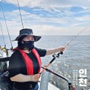 구름아래바다 | 인천 남항 쭈꾸미낚시 오후 킹콩 낚시배 바다낚시체험