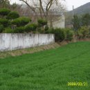 황룡초등학교 이미지