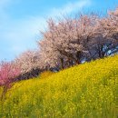 대저수문공원 이미지