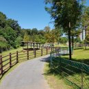 송이목장 이미지