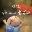 개굴개굴 이미지