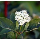 경안천습지생태공원 이미지