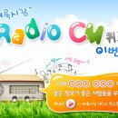파인드몰