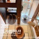 미라벨 펜션 | 강릉 감성숙소 아늑해서 좋은 미라벨펜션