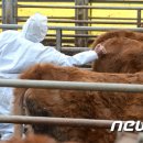 명 축산동물병원 이미지