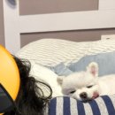 아부지농장 이미지