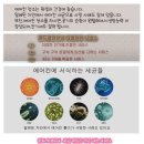 윈드크린 이미지