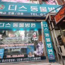 디스동물병원