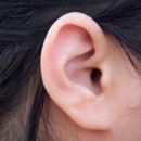 시그니아 독일보청기 광산센타 이미지