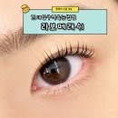 블랙N래쉬 | 건대입구역속눈썹펌 잘하는 라보떼래쉬 블랙틴팅펌 후기