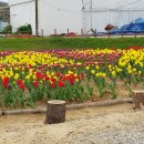 목포 삼학도 천년소원길축제 이미지