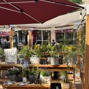 참외휴게점 | [애견동반] 여주 프리미엄아울렛부터 파사성, 금가참외축제까지 - 반려견동반 여주여행 마무리 후기