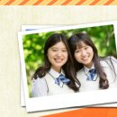 위도 아일랜드 이미지