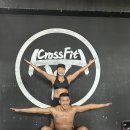 통영 크로스핏 레슬링 네이버블로그