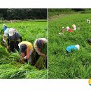 동해시-12 이미지