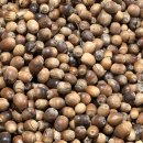 맛나방앗간 이미지