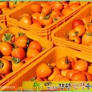 김종문농장 이미지