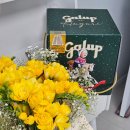 브라더살롱 | [내돈내산]크리스마스 홈파티 케이크 추천! 이탈리아디저트"갈룹 팡도르"