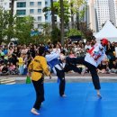 한국체대 미송태권도장 이미지