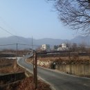 오갑농장 Daum카페