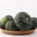 호박 - 포천시 송우로 18-8 | 호박