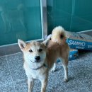 중4리 경로당 이미지