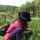 용수골목장 이미지