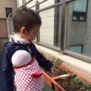 아기산새어린이집 이미지