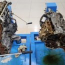 제일 카 마스타 이미지