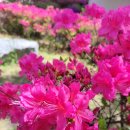 한림디자인고 | 한림디자인고 총동문한마음축제