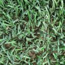 현내공설운동장 이미지