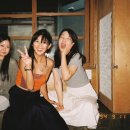 꽃피는 봄이 오면 이미지